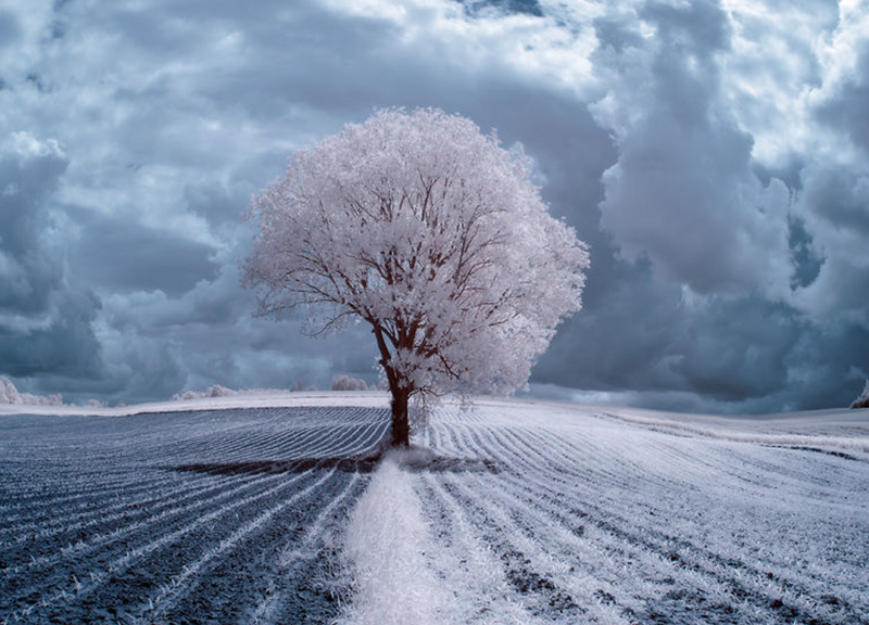 IR-photo